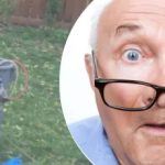 A furcsa lelet a fa mellett értetlenül hagyta a szomszédot: