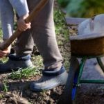 Vetési naptár 2025 szeptemberére: mit kell tenni a kertben és